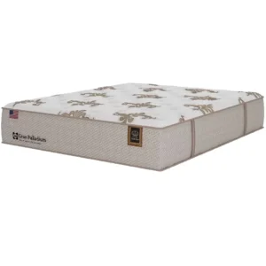 Colchão Gran Palladium Queen com Molas Lfk 34x198x158cm Sealy